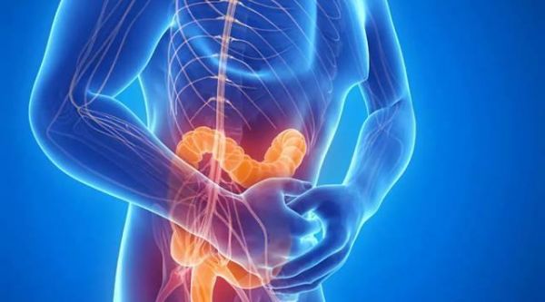 吃肉多，真的會傷害腸道健康？看消化科醫(yī)生怎么說