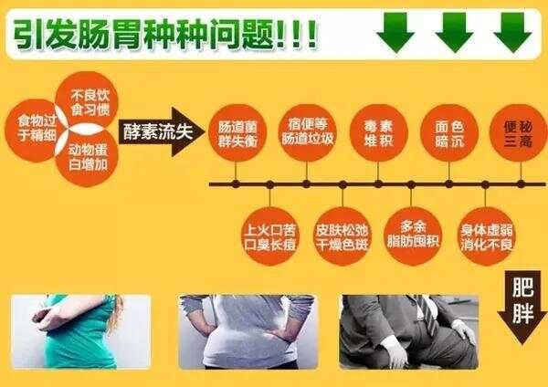 8个维护肠道健康的饮食调理建议