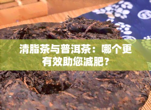 清脂茶與普洱茶：哪個(gè)更有效助您減肥？