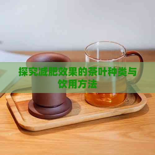 探究减肥效果的茶叶种类与饮用方法