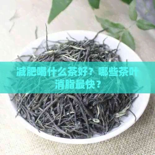 减肥喝什么茶好？哪些茶叶消脂最快？