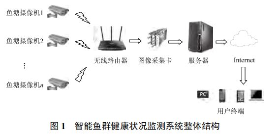 基于机器视觉的智能鱼群健康状况监测系统