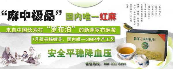 新芽羅布麻茶