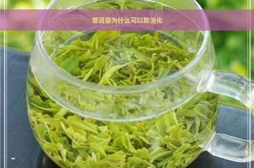 普洱茶为什么可以助消化