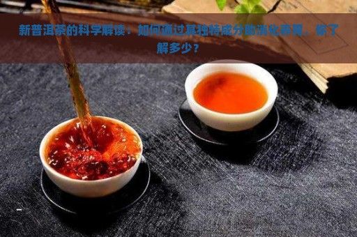 新普洱茶的科学解读：如何通过其独特成分助消化养胃，你了解多少？