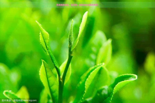 普洱茶助消化，普洱茶：你的消化問(wèn)題的救星！