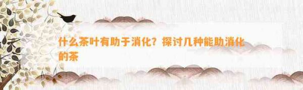 什么茶葉有助于消化？探討幾種能助消化的茶