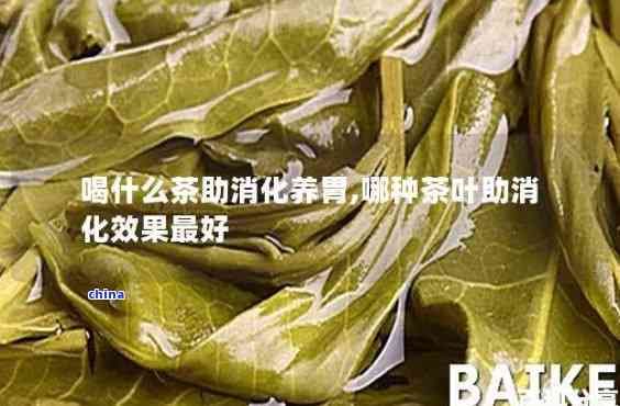 什么茶葉有助于消化？探討幾種能助消化的茶