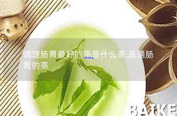 什么茶葉有助于消化？探討幾種能助消化的茶