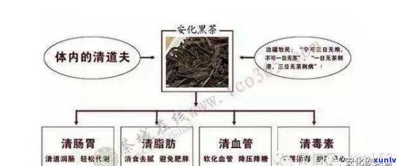 黑茶助消化的原理及正确食用方式