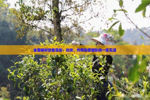 全面解析熟普洱茶：功效、作用及健康影响一览无遗