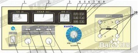 普洱茶助消化原理詳解：作用及機制圖解
