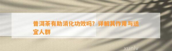 普洱茶有助消化功效嗎？詳解其作用與適宜人群