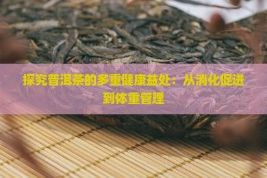 探究普洱茶的多重健康益处：从消化促进到体重管理