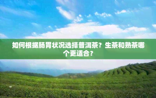 如何根据肠胃状况选择普洱茶？生茶和熟茶哪个更适合？