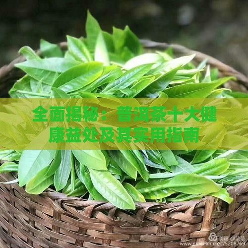 全面揭秘：普洱茶十大健康益处及其实用指南