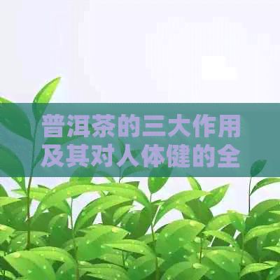 普洱茶的三大作用及其对人体健的全面解析