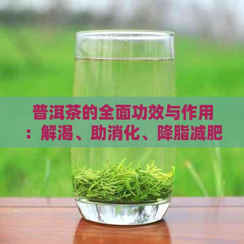 普洱茶的全面功效與作用：解渴、助消化、降脂減肥、抗氧化等