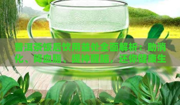 普洱茶飯后飲用益處全面解析：助消化、降血脂、提神醒腦，還你健康生活