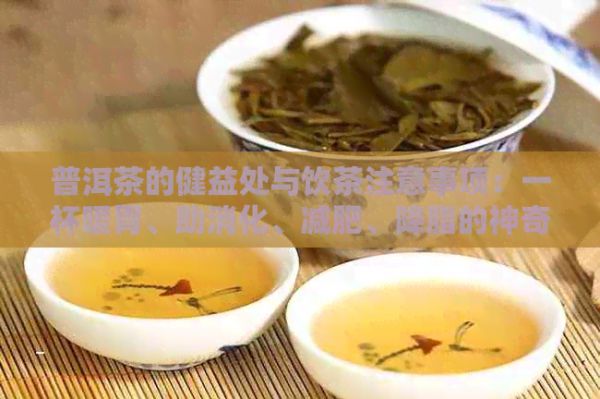 普洱茶的健益處與飲茶注意事項(xiàng)：一杯暖胃、助消化、減肥、降脂的神奇飲品