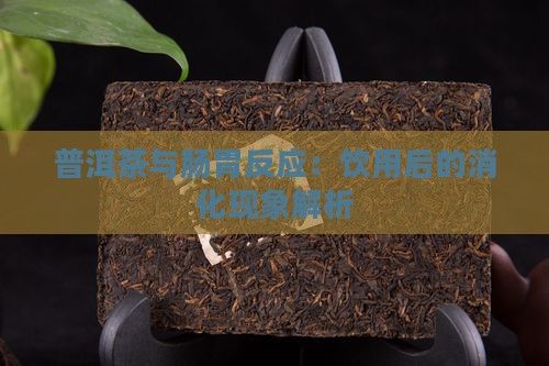 普洱茶与肠胃反应：饮用后的消化现象解析