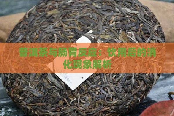 普洱茶与肠胃反应：饮用后的消化现象解析