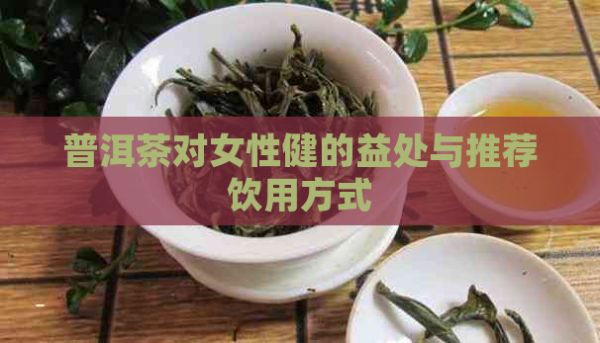 普洱茶对女性健的益处与推荐饮用方式