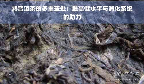 熟普洱茶的多重益處：提高健水平與消化系統(tǒng)的助力