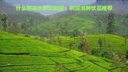 什么茶去水腫又利尿：利尿消腫飲品推薦