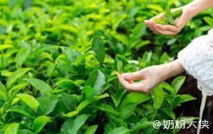 乳企關(guān)注情緒健康類乳品，可以用作情緒管理的食品原料還有哪些？