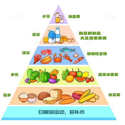 手绘健康饮食金字塔插画食物蔬菜水果搭配素材