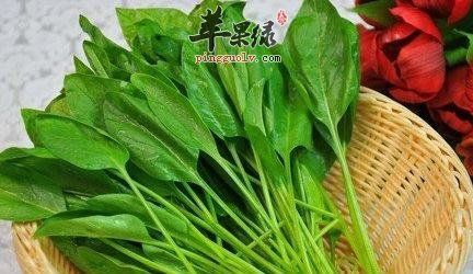 一些藥食同源的蔬菜和水果