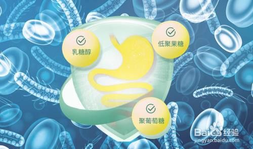 果蔬酵素的作用和減肥原理