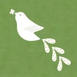 主編君阿輕