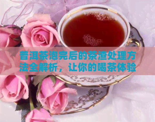 普洱茶泡完后的茶渣處理方法全解析，讓你的喝茶體驗更完美！