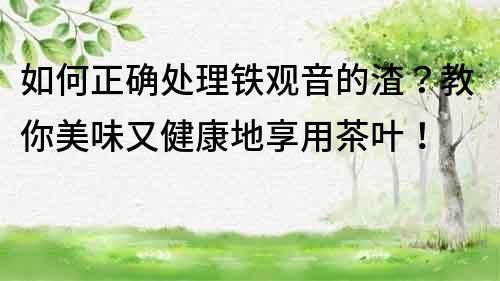如何正確處理鐵觀音的渣？教你美味又健康地享用茶葉！