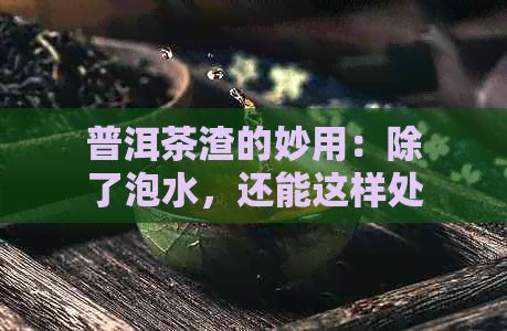 普洱茶渣的妙用：除了泡水，還能這樣處理以充分利用！