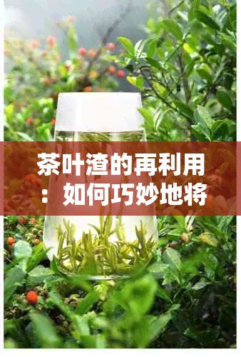 茶葉渣的再利用：如何巧妙地將其轉(zhuǎn)化為花卉養(yǎng)護神器