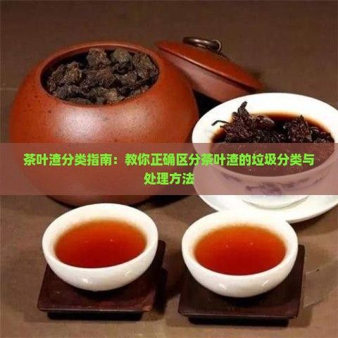 茶叶渣分类指南：教你正确区分茶叶渣的垃圾分类与处理方法