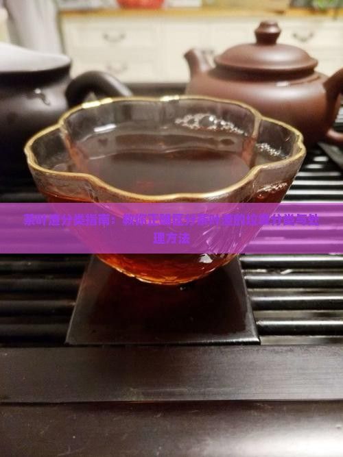 茶叶渣分类指南：教你正确区分茶叶渣的垃圾分类与处理方法