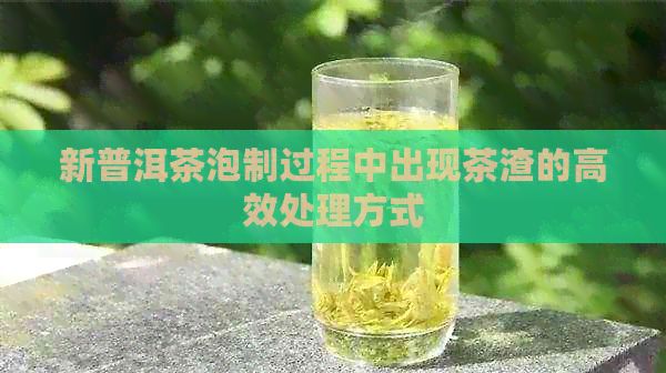 新普洱茶泡制过程中出现茶渣的高效处理方式