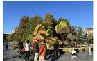 韩媒报道2024中国十大流行语！其中你知道几个？