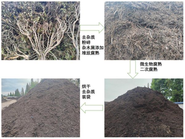 一种利用茶树废弃秸秆制备植物源有机肥的方法与应用与流程