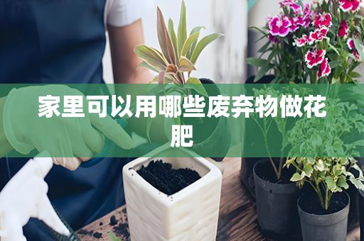 家里可以用哪些廢棄物做花肥