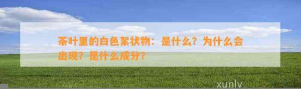 茶叶里的白色絮状物：是什么？为什么会出现？是什么成分？