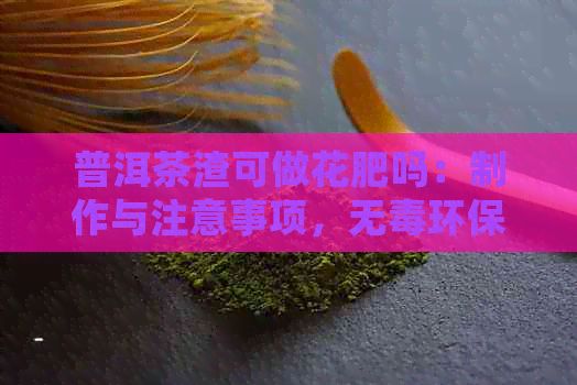 普洱茶渣可做花肥嗎：制作與注意事項，無環(huán)保又實用！