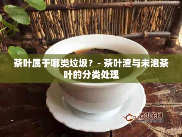 茶叶属于哪类垃圾？- 茶叶渣与未泡茶叶的分类处理