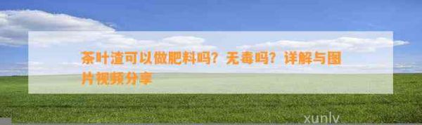 茶叶渣可以做肥料吗？无吗？详解与图片视频分享