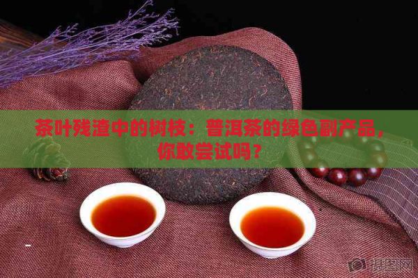 茶葉殘?jiān)械臉?shù)枝：普洱茶的綠色副產(chǎn)品，你敢嘗試嗎？