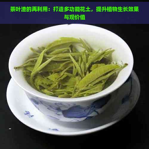 茶葉渣的再利用：打造多功能花土，提升植物生長(zhǎng)效果與觀價(jià)值